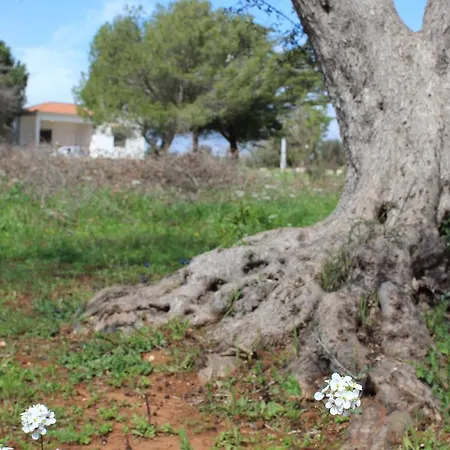 Villa Flora *