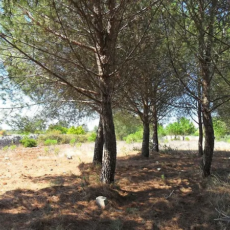 Flora Villa